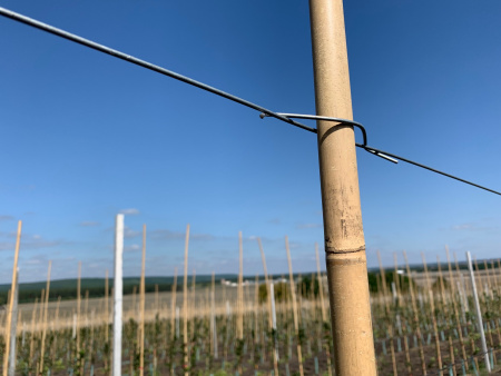 Скоба Стебофикс (для бамбука)