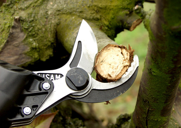 Секатор пневматический LISAM Super Sly